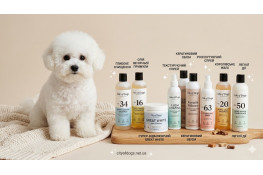 Бішон фрізе: догляд за шерстю, вибір косметики та секрети білизни Бішон фрізе: догляд за шерстю, вибір косметики та секрети білизни