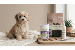 Харчування та здоров'я Мальтіпу: поради щодо вибору корму та вітамінів