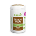 Canvit Senior Maxi for dogs 230g