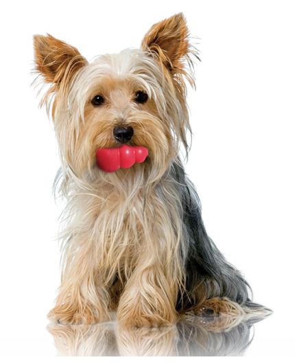 Для дома и профессионалов!