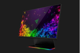 Оригинальный геймерский монитор Razer Raptor